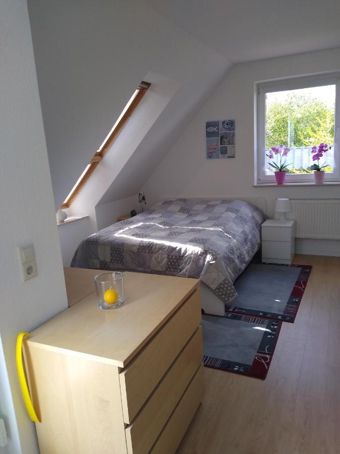 Muensterblick Im Rosenwinkel Apartment Bad Doberan Ngoại thất bức ảnh